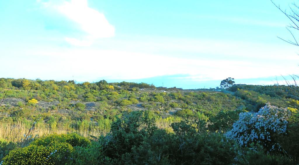 Onrus River Cottage Hermanus Exteriör bild